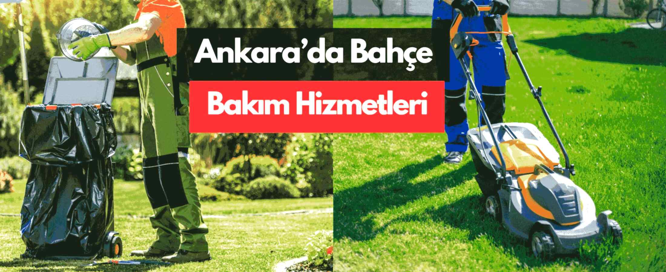 Ankara'da Bahçe Bakım ve Temizlik Hizmetleri