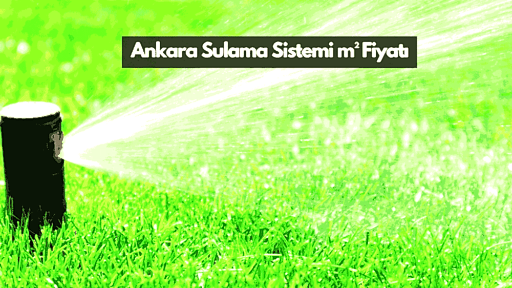 Ankara Çim Tohumu Fiyatları 