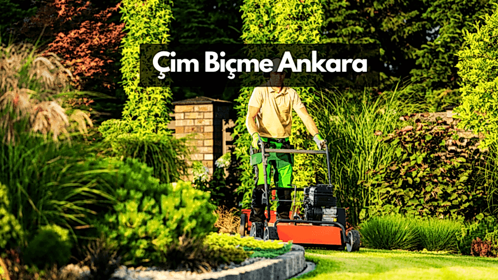 Çim Biçme Ankara - Çim Biçme Hizmetleri ve Ustası